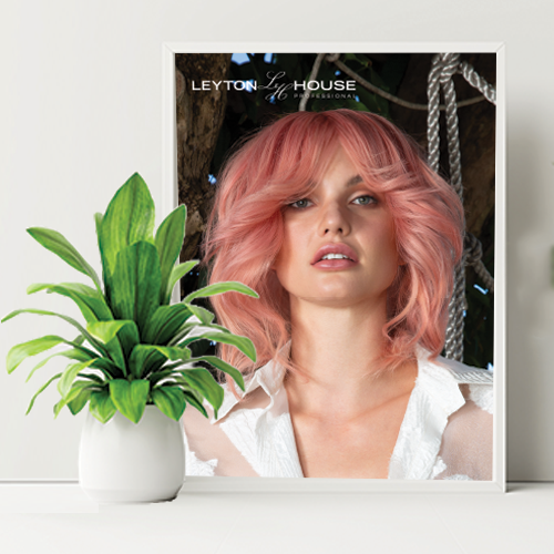 A1 POSTERS