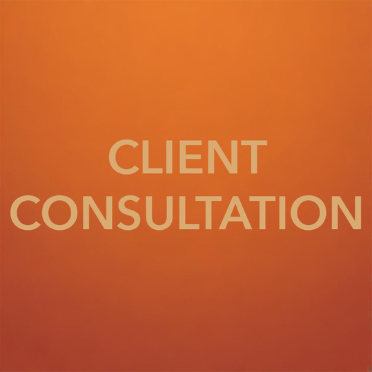 Ep 5 | CLIENT CONSULTATION