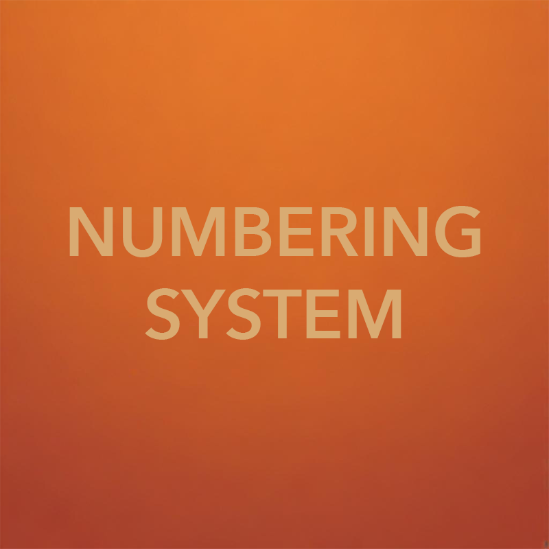 Ep 3 | UNDERSTANDING THE NUMBERING SYSTEM