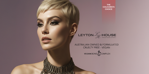 Leyton House Model Slider Image